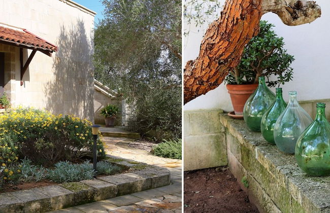 Masseria L'Uliveto - Foto 51