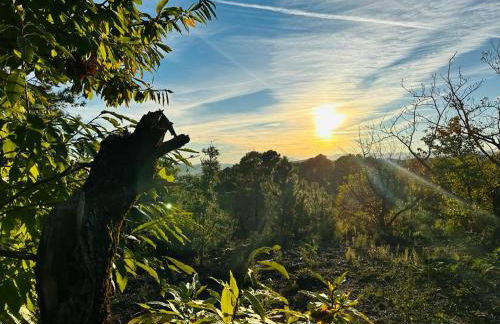 "Les Hauts du Marquet" - Meublé de tourisme 5 Etoiles - Gîte de groupe 15 Personnes en Cévennes - Piscine à débordement - Balnéo - Sauna - Nature - Foto 46