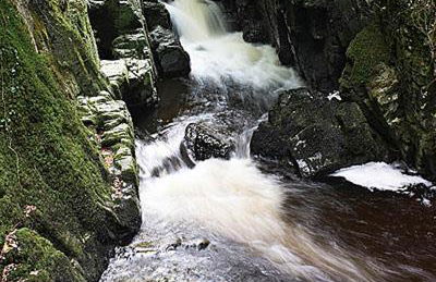 Myrtle Cottage - 28177 - Foto 20