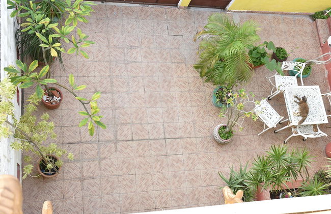 Room in B&B - Cancun Guest House 6 - Foto 20