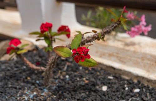 Villa Agua 3 - Foto 33