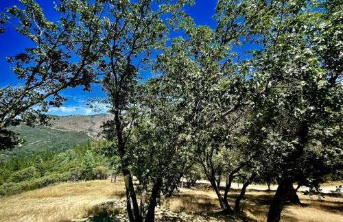 Foothill Wine Country Gem - Photo 50
