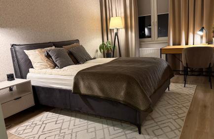 Apartament w Centrum z widokiem na jeziorko - Foto 7