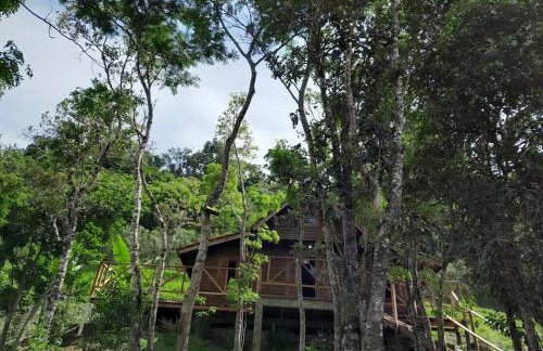 Cabana Gracillis em Alfredo Wagner - Serra Catarinense - Photo 16