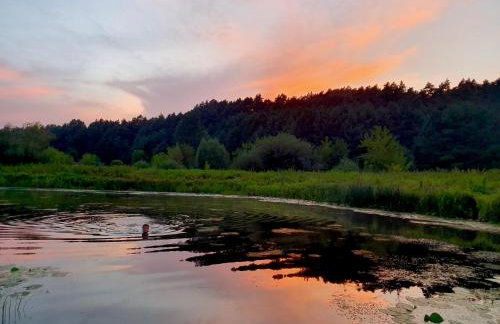 Królewska Sielanka - Foto 41