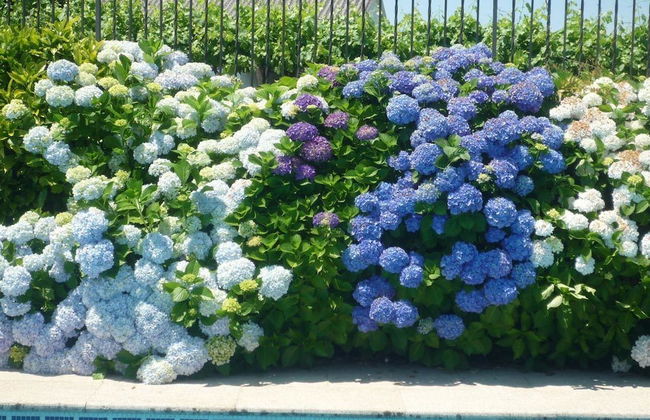 Casa Das Pias - Photo 28