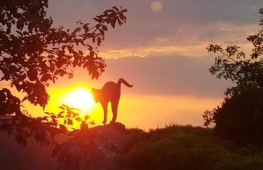 Ferienwohnung Irmgard und Ferienwohnung Gerlinde - Foto 7