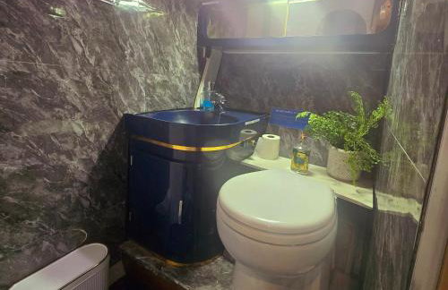 Rhapsody in Blue - Foto 17