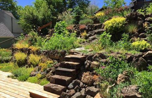 Bluebird Day - Hill Street Beauty - Foto 22