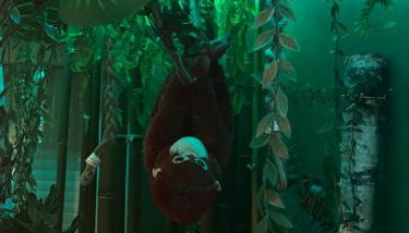 La suite Oasis - Foto 3