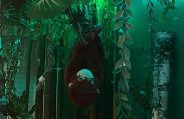 La suite Oasis - Foto 3