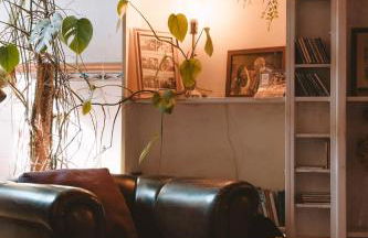 João Jungle - Photo 75