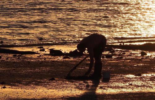 Loriot2 - appartement vue sur mer - Foto 18