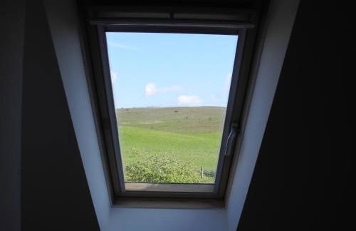 Alte Fischerkate und Möwennest - Foto 37