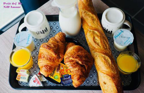 NiDAmour La Colombe Gîte romantique avec spa privatif intérieur Castels-et-Bézenac - Foto 4