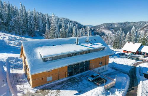 Ferienwohnung Passhöhe - Familien- Wander- und Skiurlaub - Hochschwarzwaldcard - Haus Wiesenquelle - Photo 36