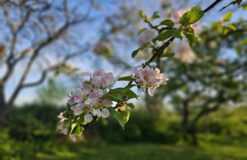 Hof am Meer "Seestern" - Foto 36