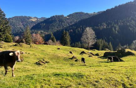 unique Ferienwohnung - Foto 37