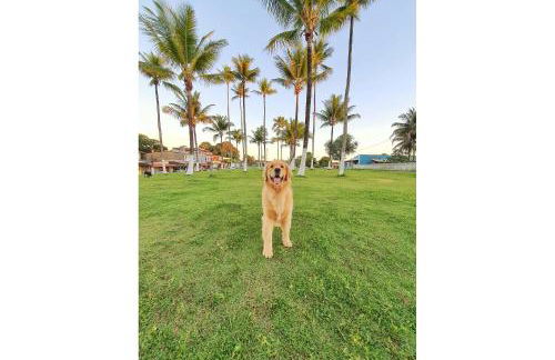 Piscina Aquecida, Jacuzzi, internet veloz, no centro de Serra Grande - Apt Laranja - Vila Pitangueira - Photo 37