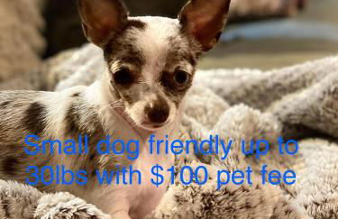 Creekside Paradise - Foto 47