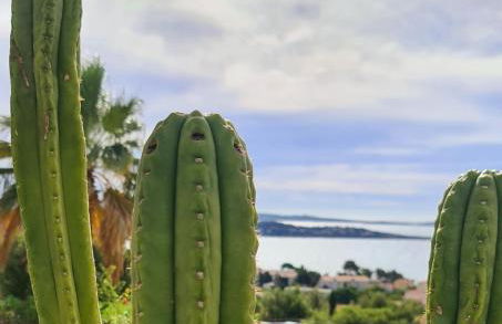 MAGNIFIQUE APPARTEMENT VUE MER - GRANDE TERRASSE ET PISCINE - Foto 13