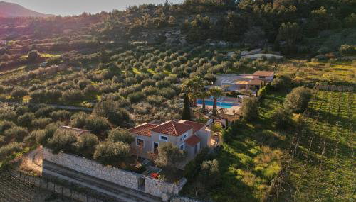 The Olive Grove Villas with large swimming pool - Foto 1