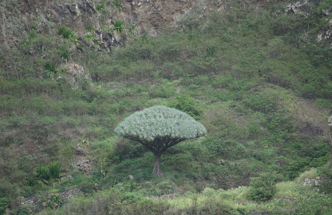 Pinhao, Lombo Branco & Sinagoga Hike - Photo 2