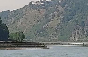 Gästehaus Rheinburgenblick - Foto 6