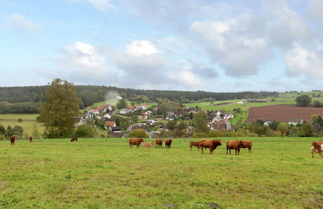 Ferienwohnung mit Balkon im Schwarzwald - Foto 28