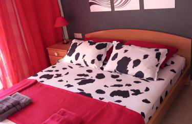 Magic Mola - Foto 35