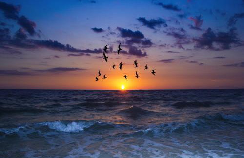 Villa on Point Brittany 5 by Distinctive Beach Rentals - Foto 61