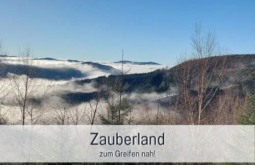 Ferienwohnung im Sauerland Hunde willkommen Kamin und Garten am Waldrand Muehls-Sauerland - Foto 32