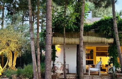 Cabana Lavanda Comporta - Foto 33