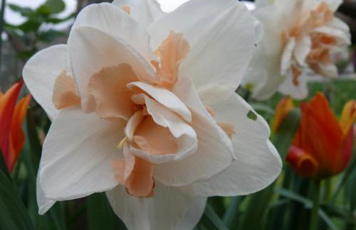 Casa vacanze Ester - Photo 56