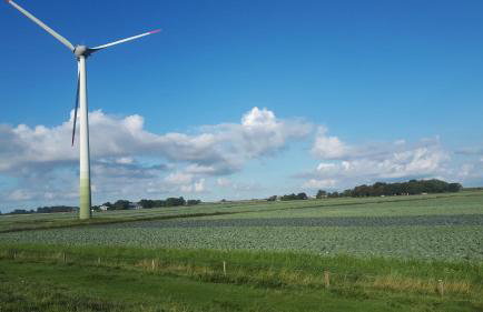 Ferienhof Martens - Foto 15