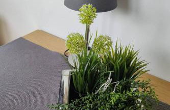 Tiny House Ithblick direkt am See - Foto 36