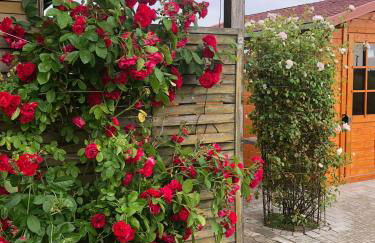Ferienwohnung Naturpark Südheide im Retro-Style - Foto 19