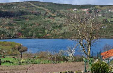 Casa da Relva Experiência Temática Inspirada em Harry Potter - Foto 17