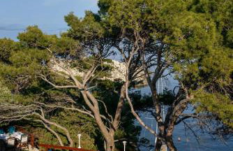 Stermasi Apartments - Photo 64