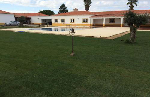 Monte das Palmeiras - Foto 21