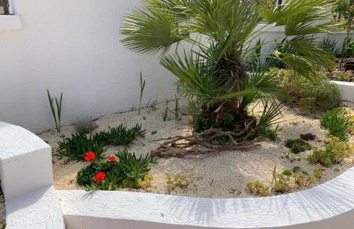 Villa Istriana - Photo 44