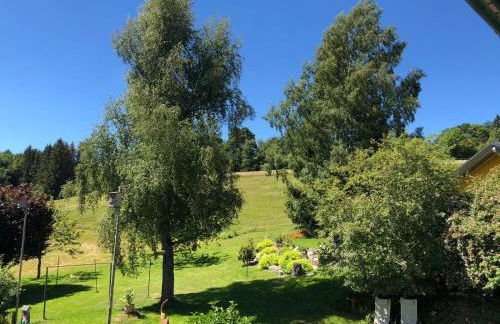 Haus Jurisch - Foto 20