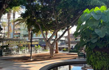 Apartamento en Plaza del Charco - Foto 18