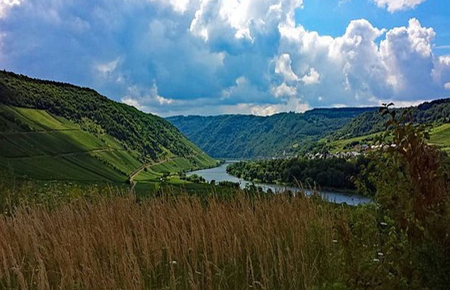 Korkenzieher Restaurant Café - Foto 46