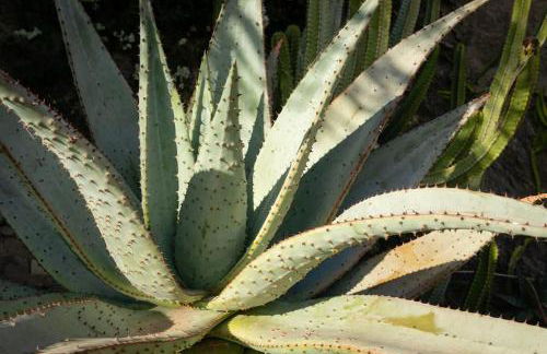 Enclave espectacular - Foto 20