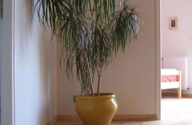 Gîte Le Croquant - Foto 7