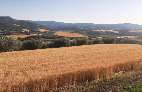 Il giglio perlato - Foto 13