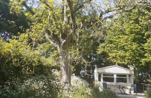 Doughery Den The Dark Hedges Hideaway - Foto 44