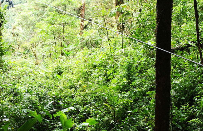 Bonito Adventure Tour - Photo 1