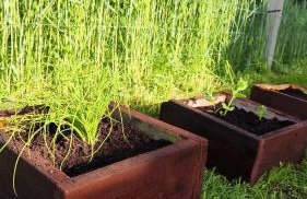 Domek Na Łące - Foto 23